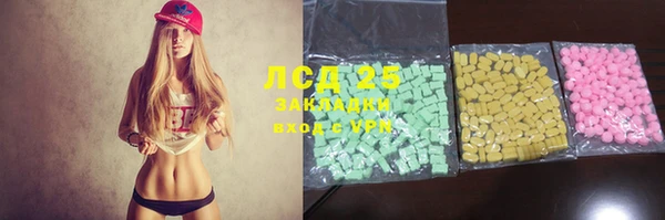 прущие грибы Верея