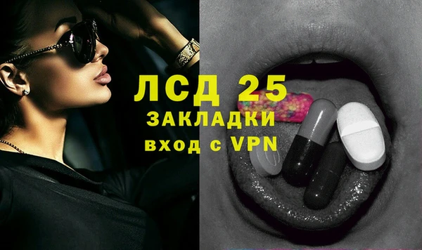 стаф Михайловск