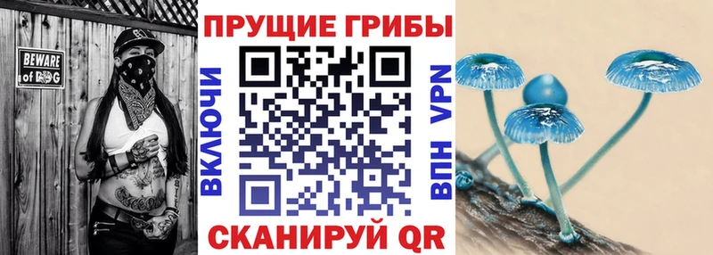 Псилоцибиновые грибы ЛСД  цена наркотик  OMG ТОР  Палласовка 